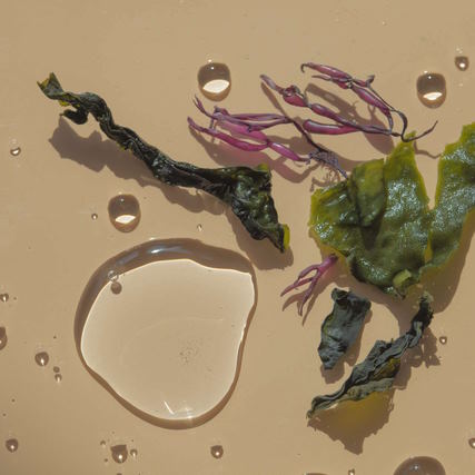 seaweed-based facial treatments